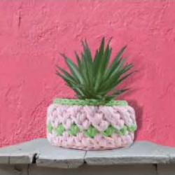 81615243-aab5-4bff-9fc5-1267acd76b5f